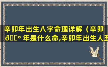 辛卯年出生八字命理详解（辛卯 🌺 年是什么命,辛卯年出生人五行属什么）